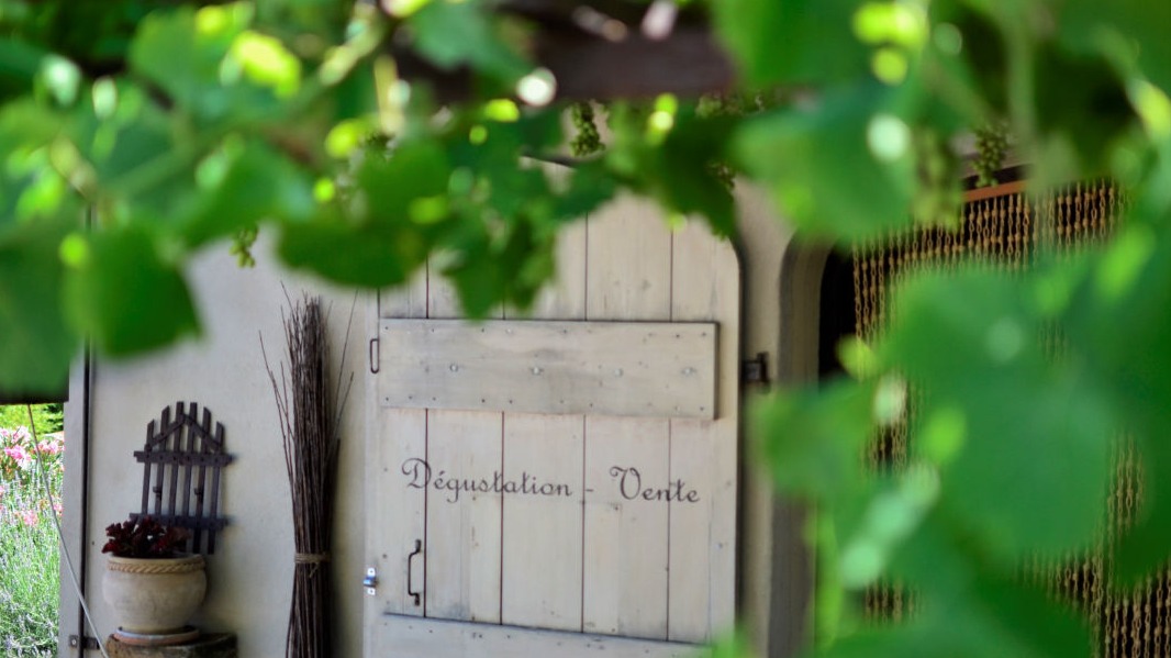 Stage olive, balade gourmande, huile d'olive
