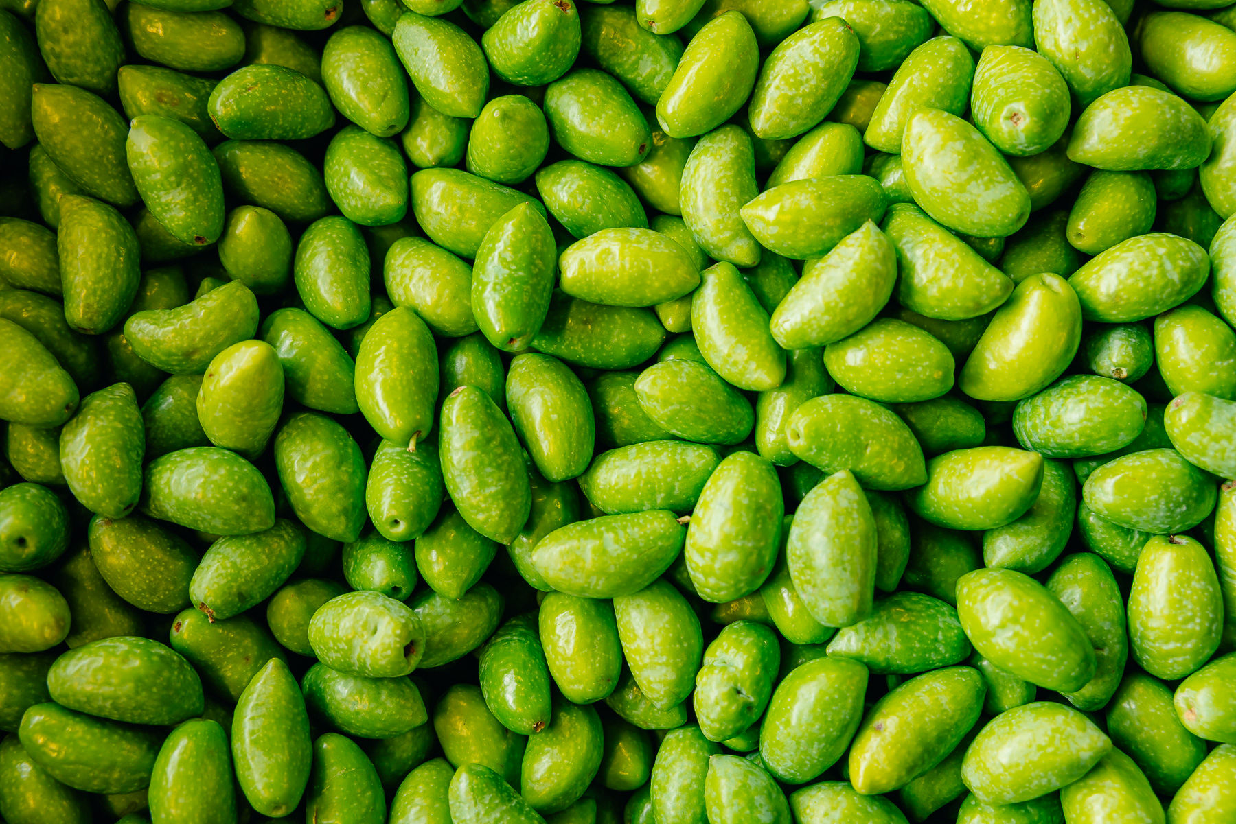 Savon à l'huile d'olive Le Mas d'Antonin Aude
